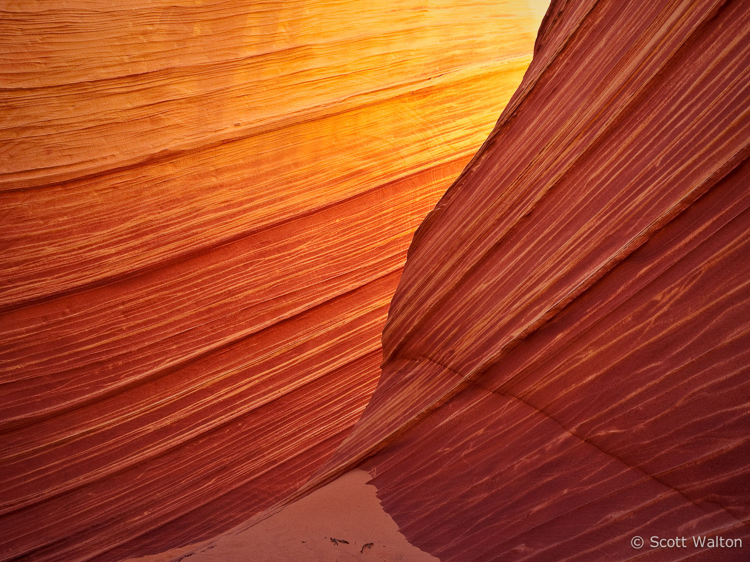 glowing-walls-the-wave-coyote-buttes-arizona.jpg