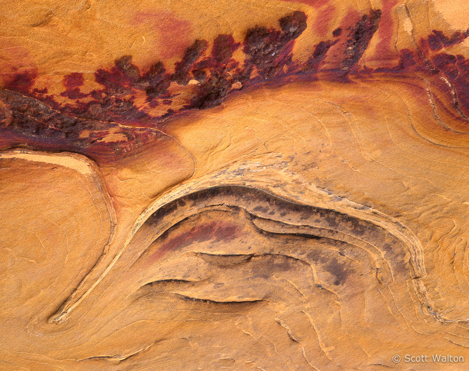 sandstone-detail-coyote-buttes-arizona.jpg