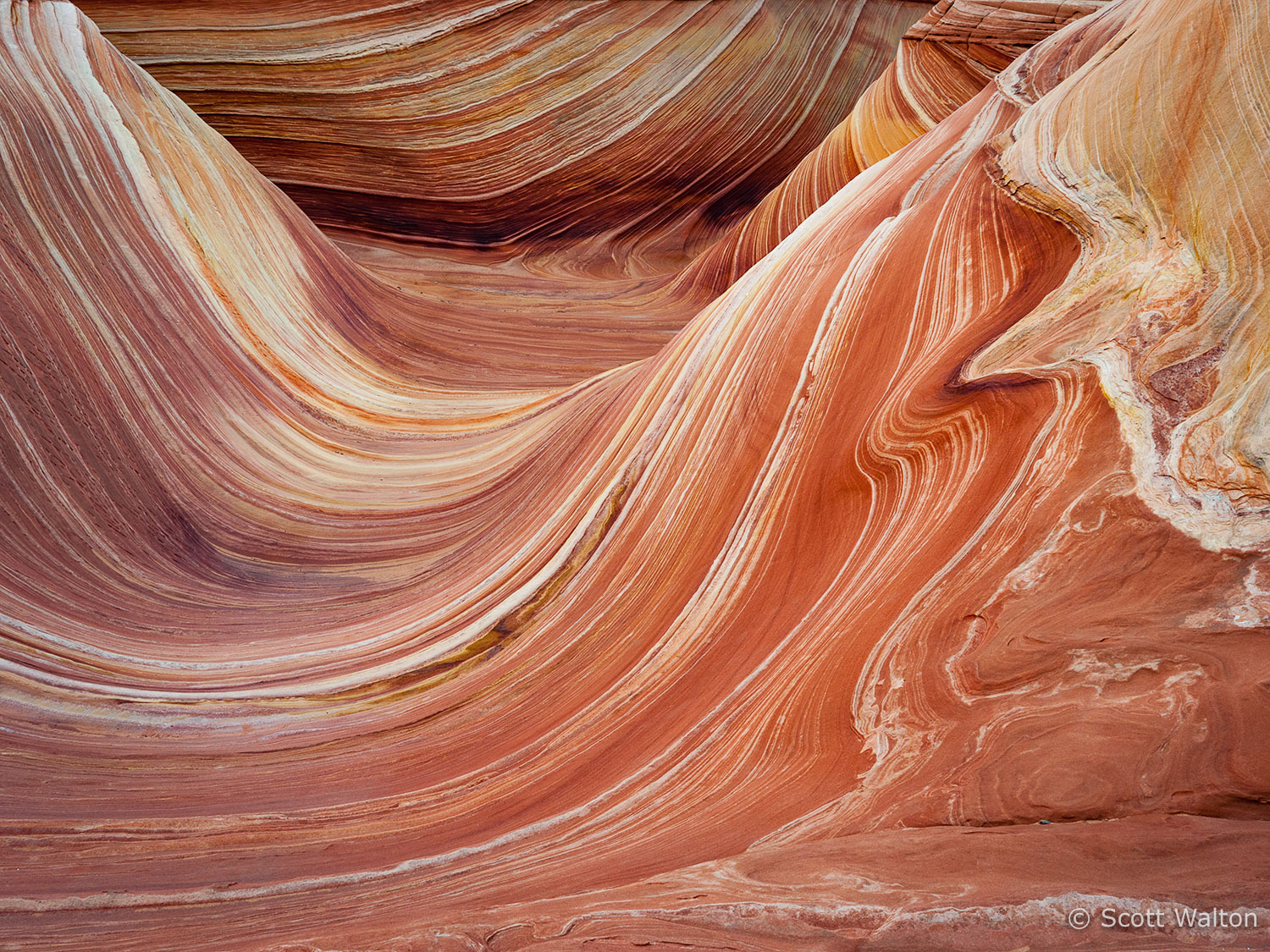 the-wave-coyote-buttes-arizona-2.jpg