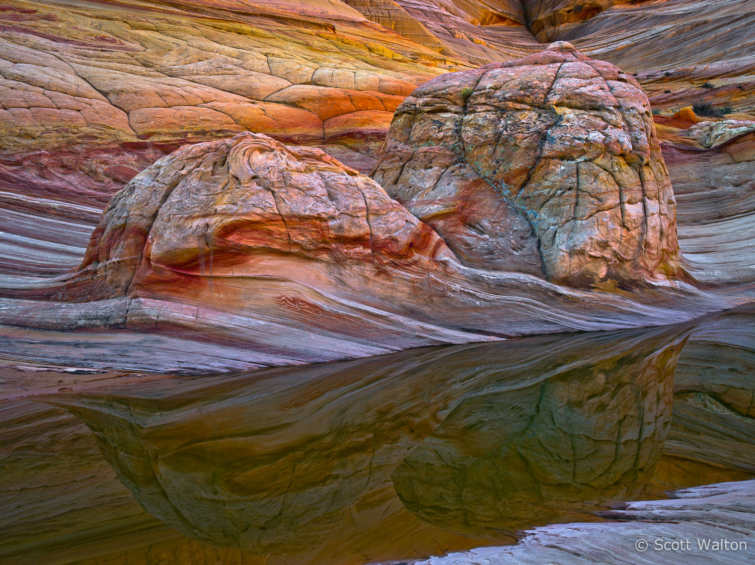 upper-pool-coyote-buttes-arizona.jpg