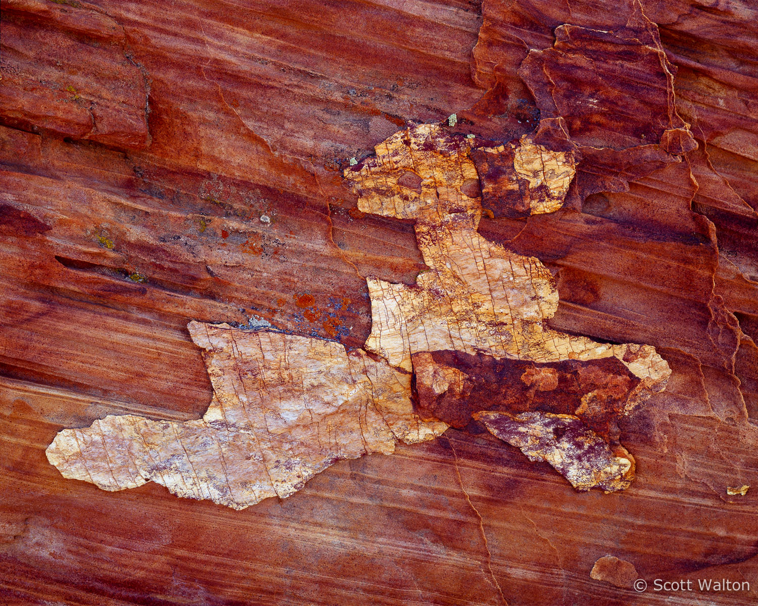 wall-detail-coyote-buttes-arizona.jpg