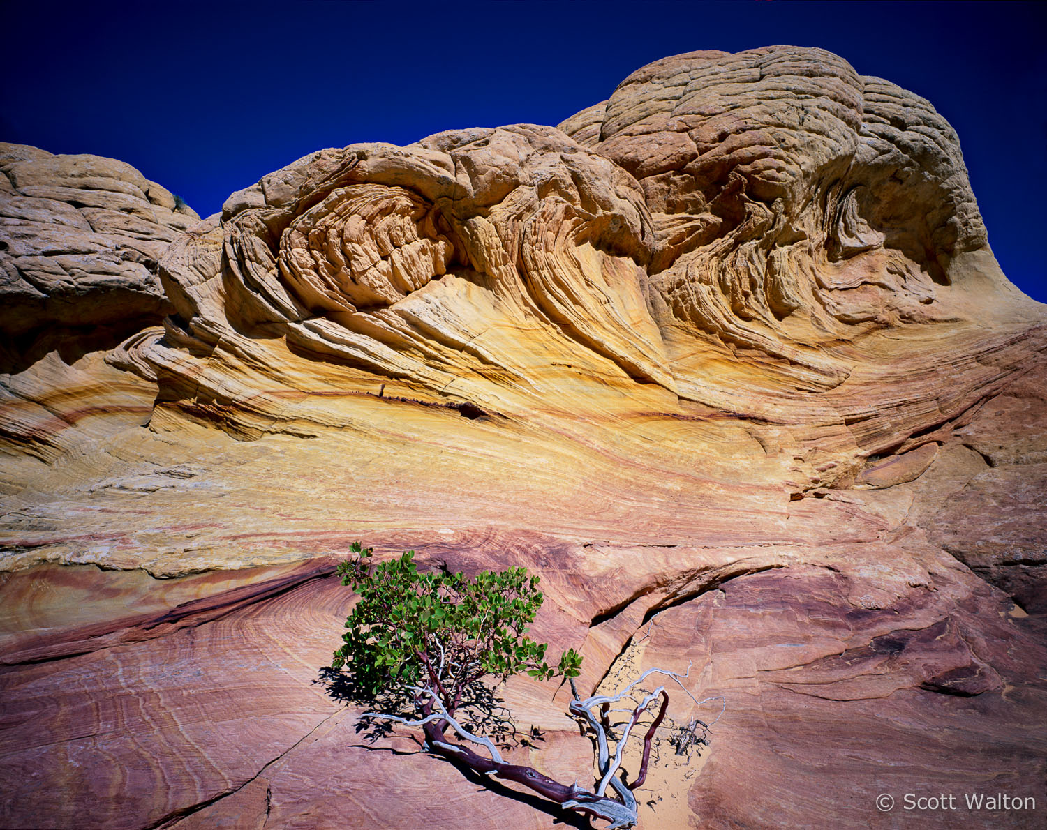 waves-of-stone-coyote-buttes-arizona.jpg