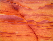 DelicateFins-CoyoteButtes-e100vs-homescan.jpg