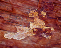 wall-detail-coyote-buttes-arizona.jpg