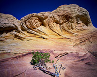 waves-of-stone-coyote-buttes-arizona.jpg