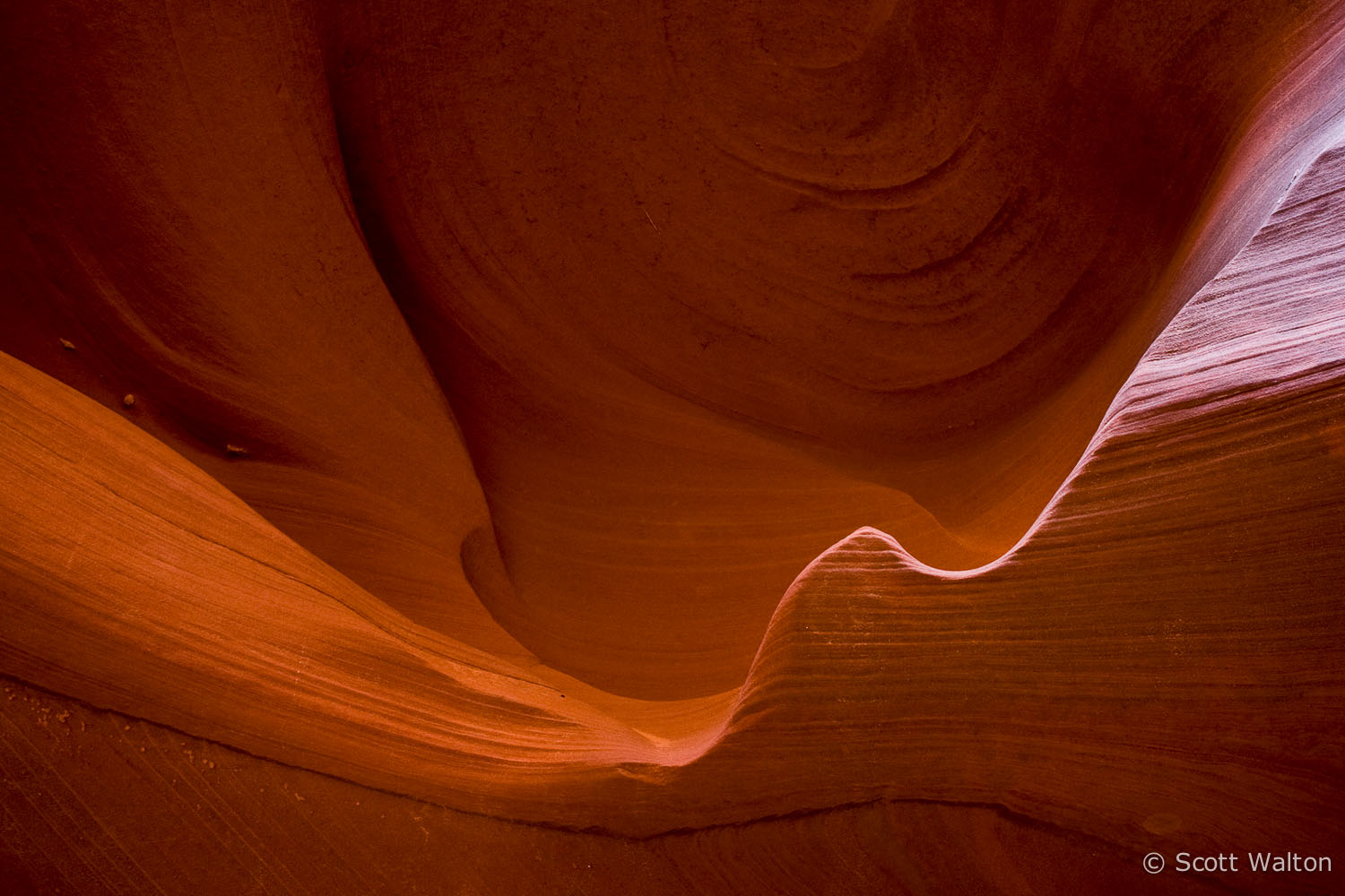 winged-wall-detail-color-waterholes-canyon-arizona.jpg