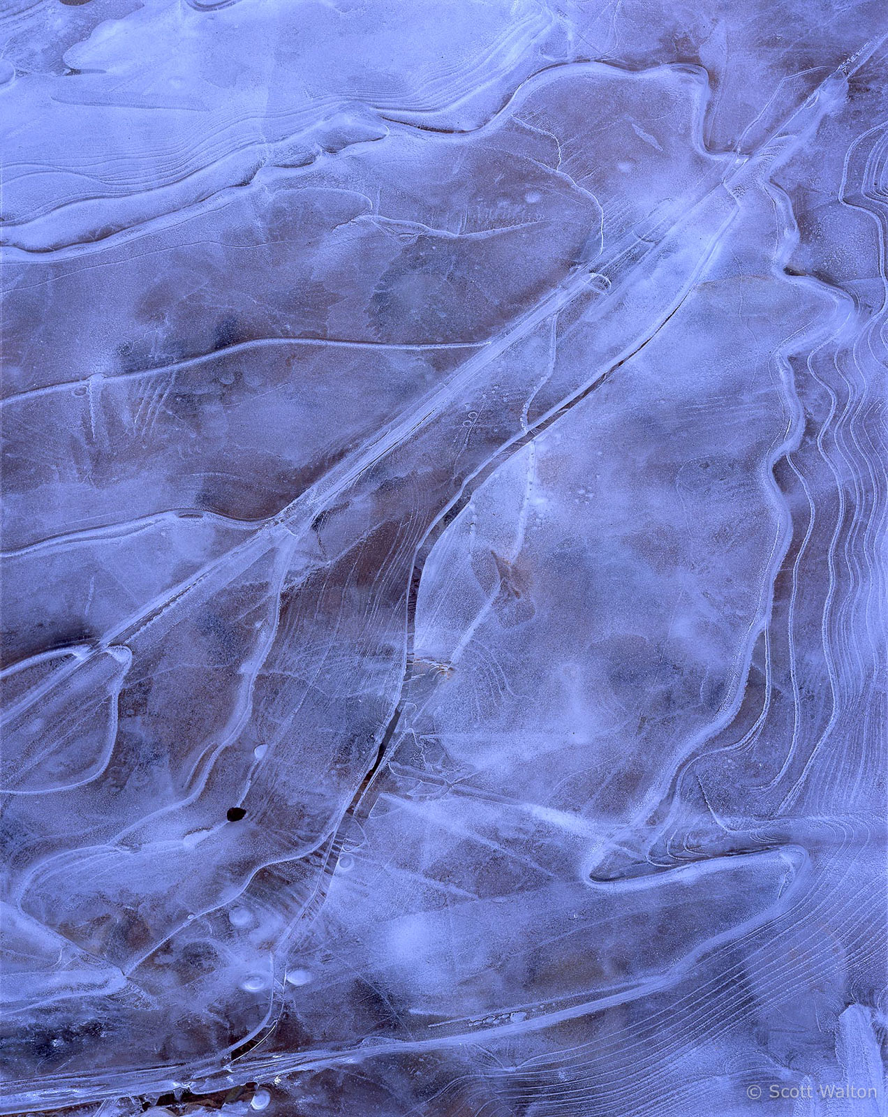 Zion-Washes-IceDetail-leaf-shape-provia100.jpg