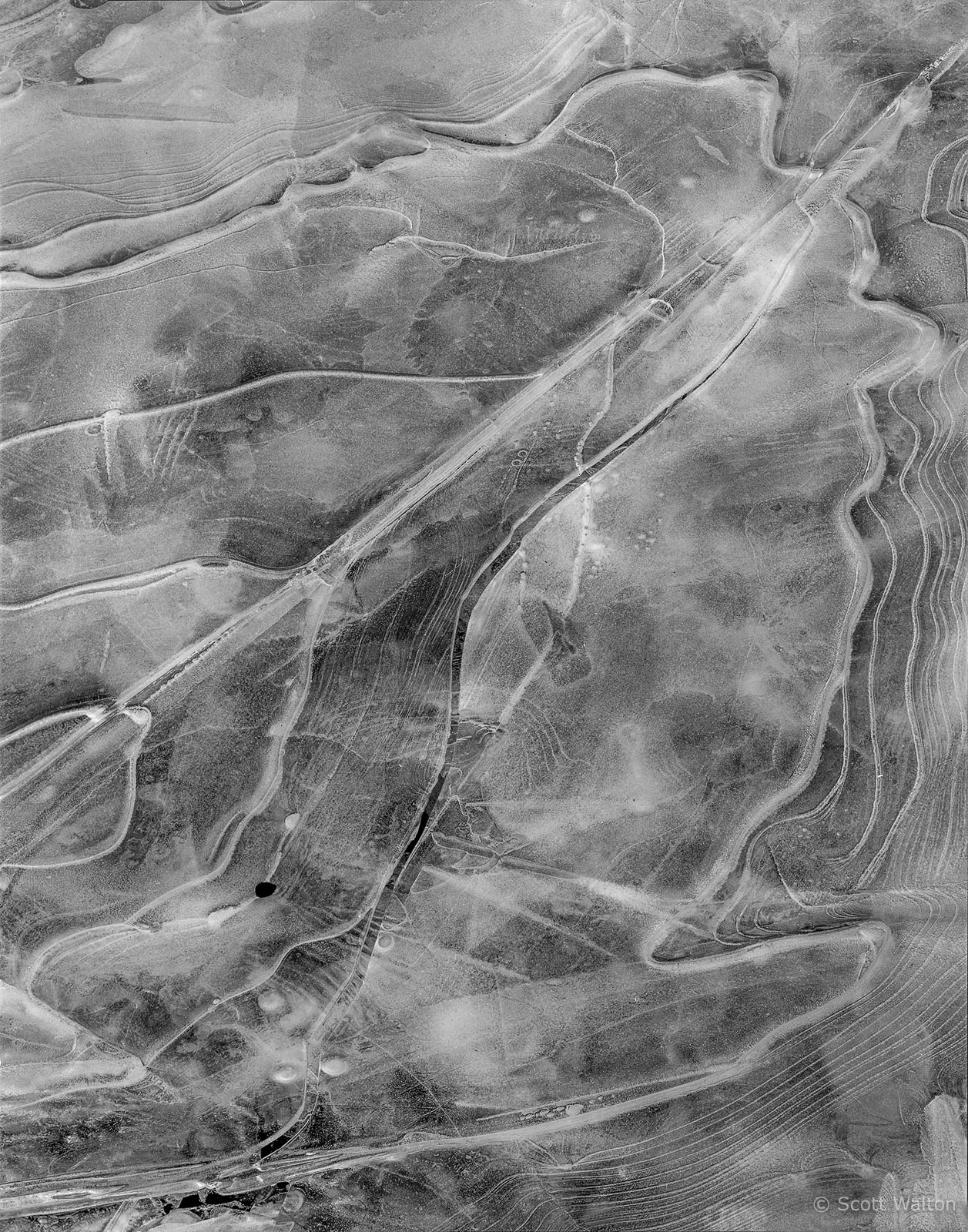 Zion-Washes-IceDetail-leaf-shape-tmax100.jpg