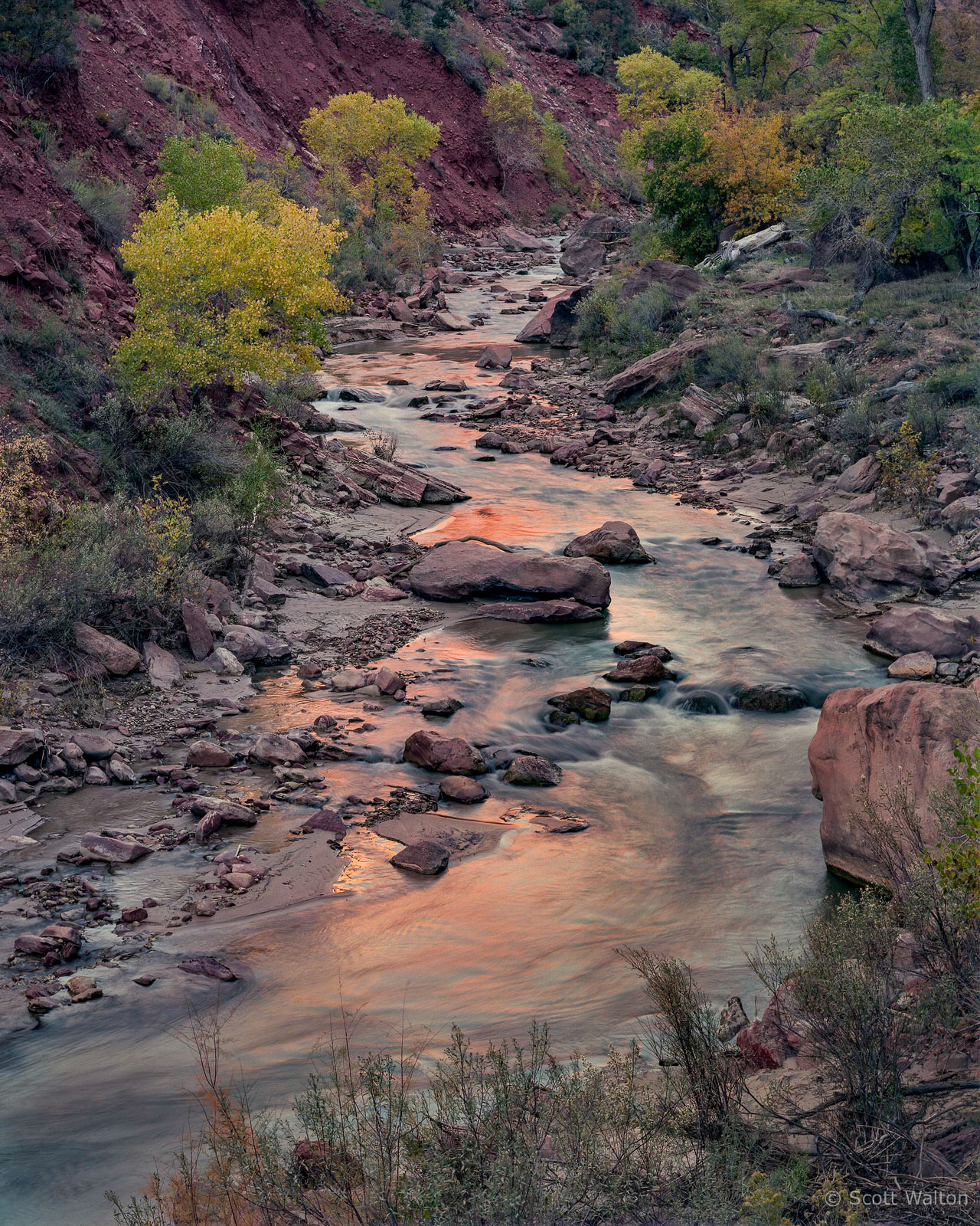 ZionCynS-CurveVirginRiverSunriseReflection.jpg