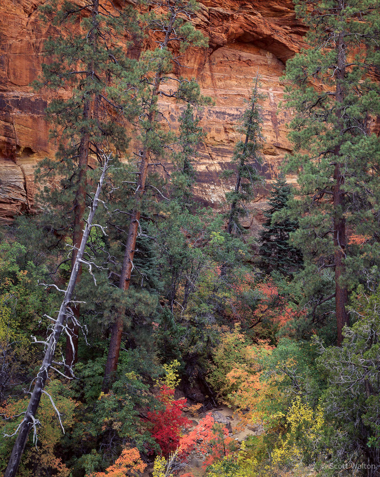 ZionWashSilverySnagArchFallColor.jpg