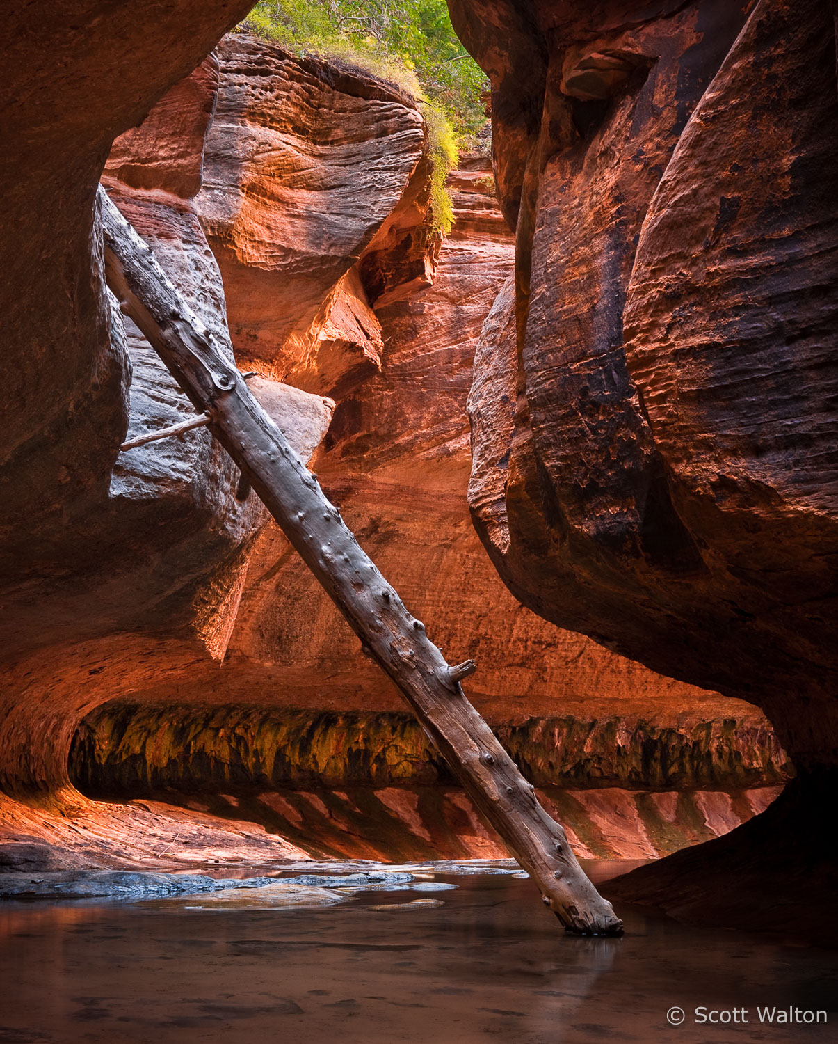 north-pole-the-subway-zion-national-park-utah.jpg