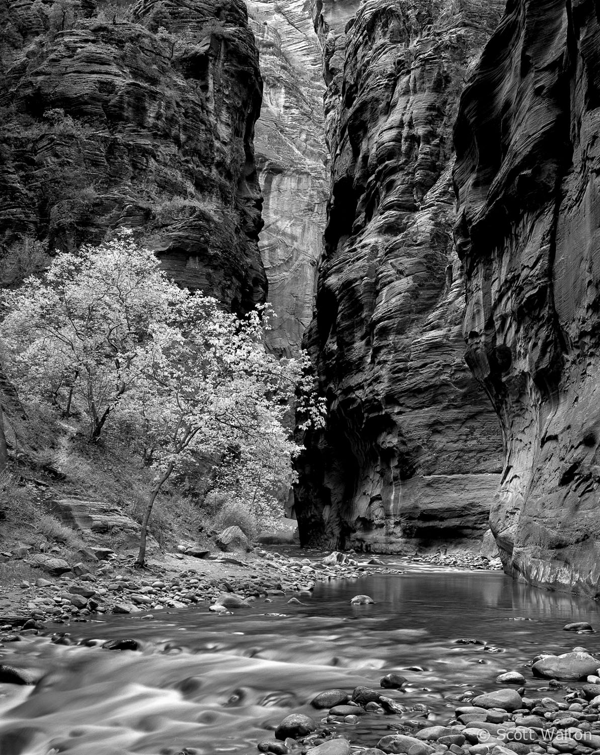 the-narrows-bw-zion-national-park-utah.jpg