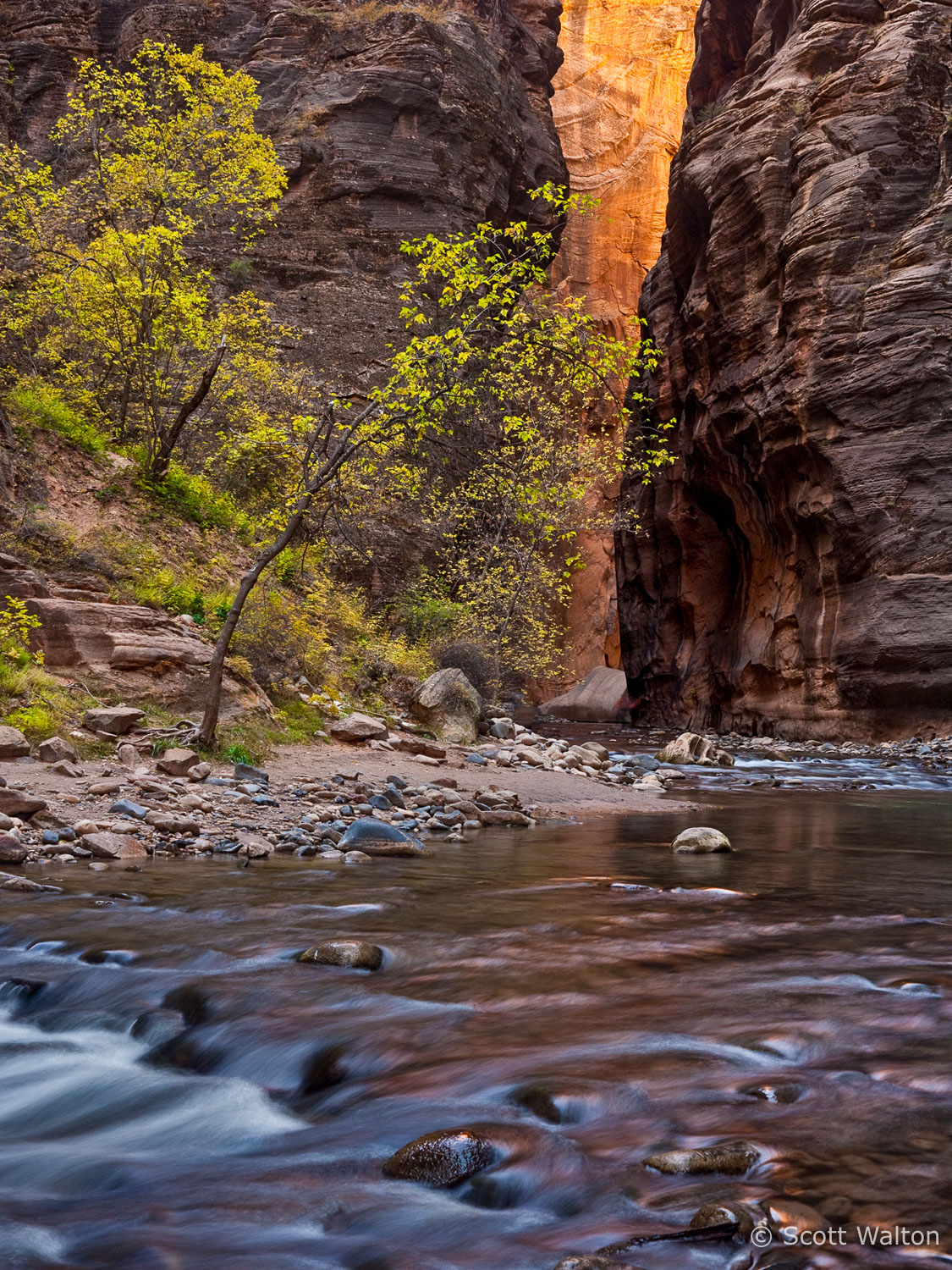 the-narrows-color-zion-national-park-utah.jpg