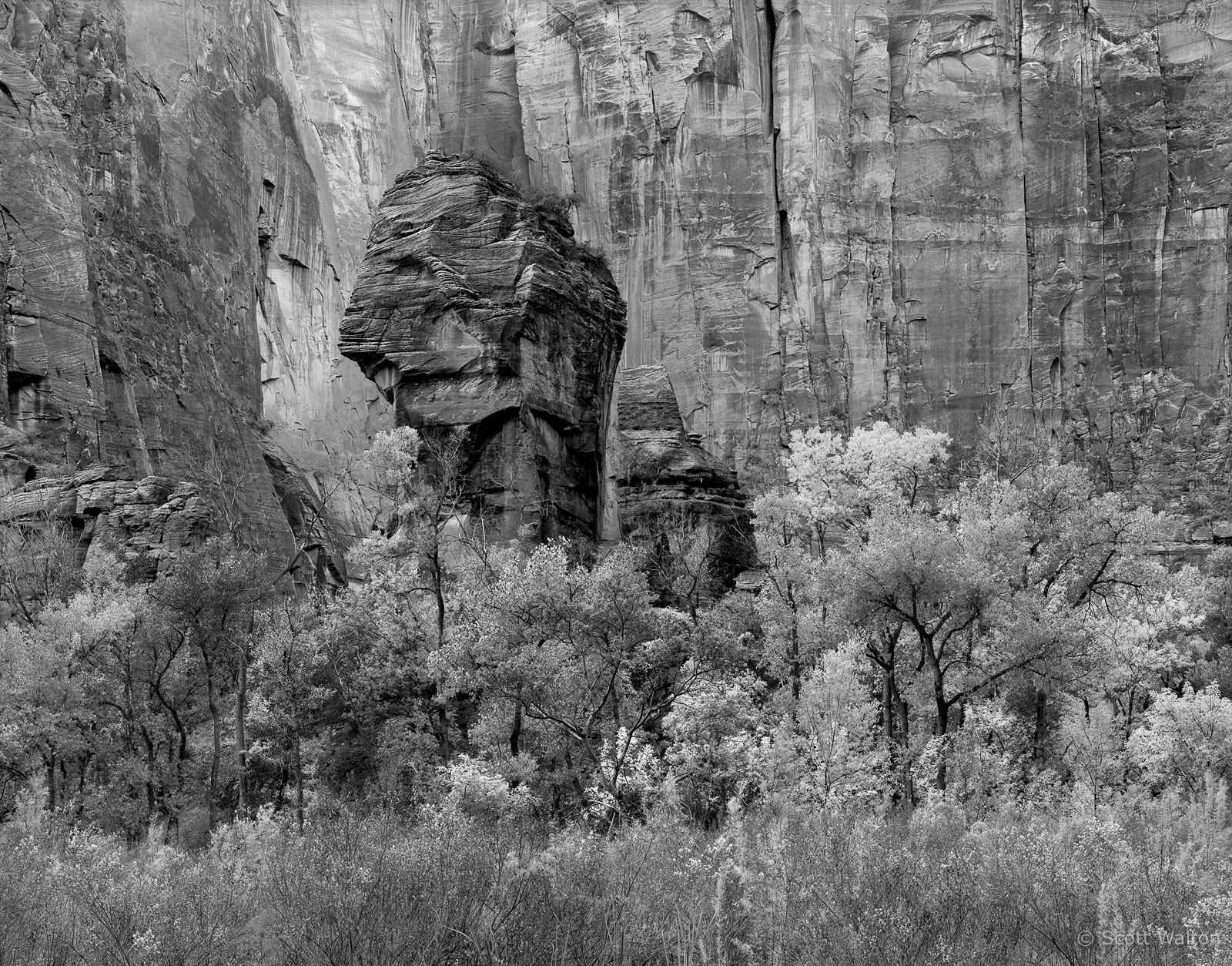 the-pulpit-2-sinawava-zion-national-park-utah.jpg