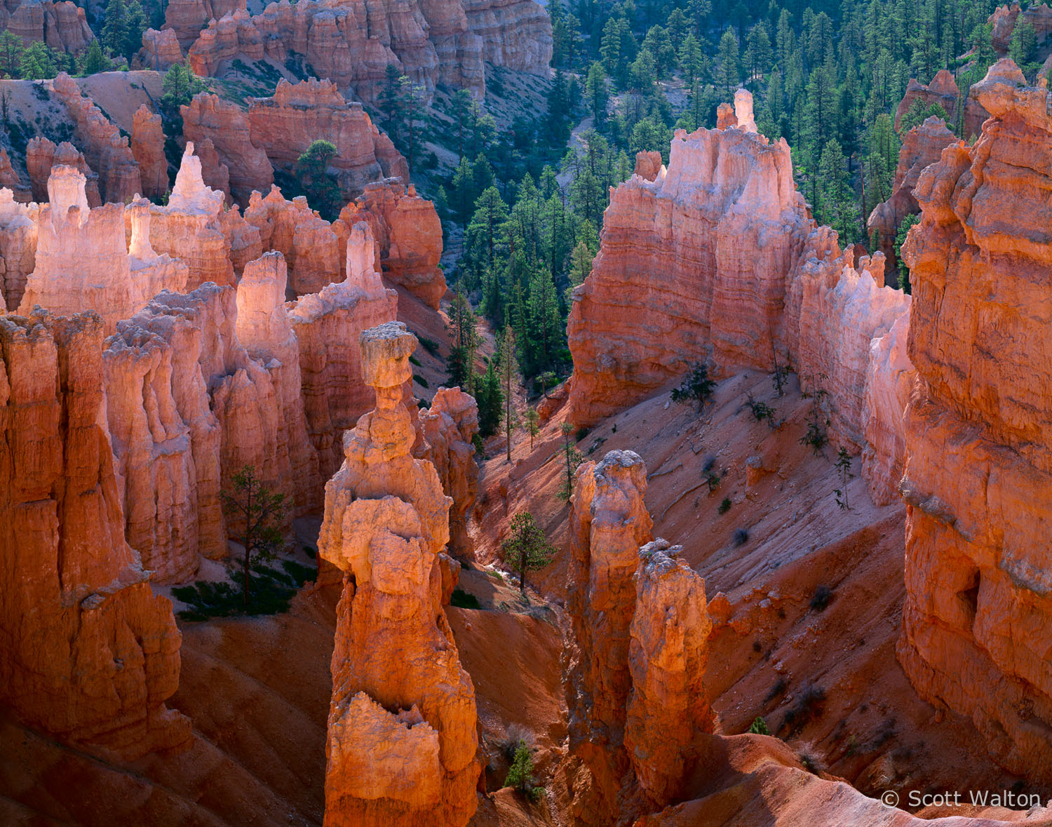 thors-hammer-sunrise-bryce-canyon-national-park-utah.jpg