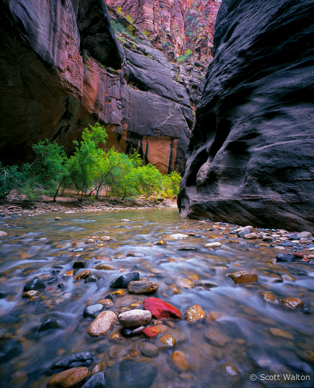 virgin-river-polished-rocks-the-narrows-zion-national-park-utah.jpg