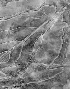 Zion-Washes-IceDetail-leaf-shape-tmax100.jpg