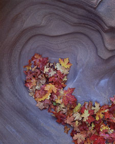 Heart of the Canyon ZionWash-HeartOfTheCanyon.jpg