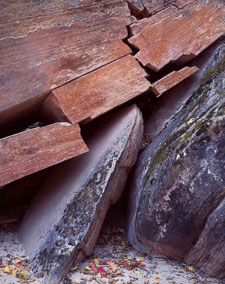 Force of Nature ZionWashFracturedRock-homescanVelvia-v2.jpg