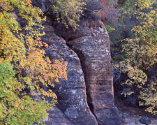 Crevice and Fall Color ZionWashTallCrackFallColor-homescan.jpg