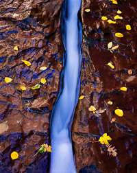 blue-ribbon-the-subway-zion-national-park-utah.jpg