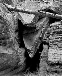canyon-detail-zion-national-park-utah.jpg