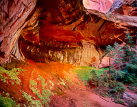 double-arch-alcove-kolob-canyon-zion-national-park-utah.jpg