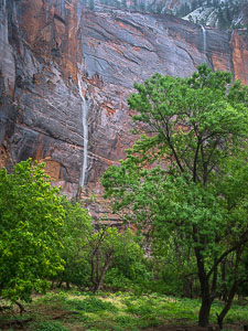 double-waterfall-sinawava-zion-national-park-utah-2.jpg