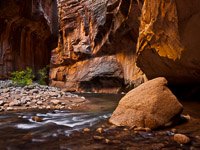 Glowing Corner glowing-corner-the-narrows-zion-national-park-utah.jpg