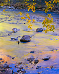 reflections-fall-color-virgin-river-sinawava-zion-national-park-utah-v2.jpg