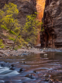 Narrows Glow the-narrows-color-zion-national-park-utah.jpg