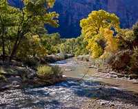 tranquil-morning-virgin-river-zion-national-park-utah.jpg