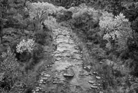 virgin-river-bw-zion-national-park-utah.jpg