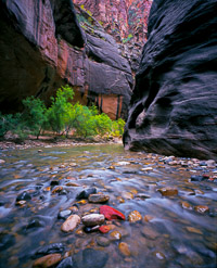 virgin-river-polished-rocks-the-narrows-zion-national-park-utah.jpg