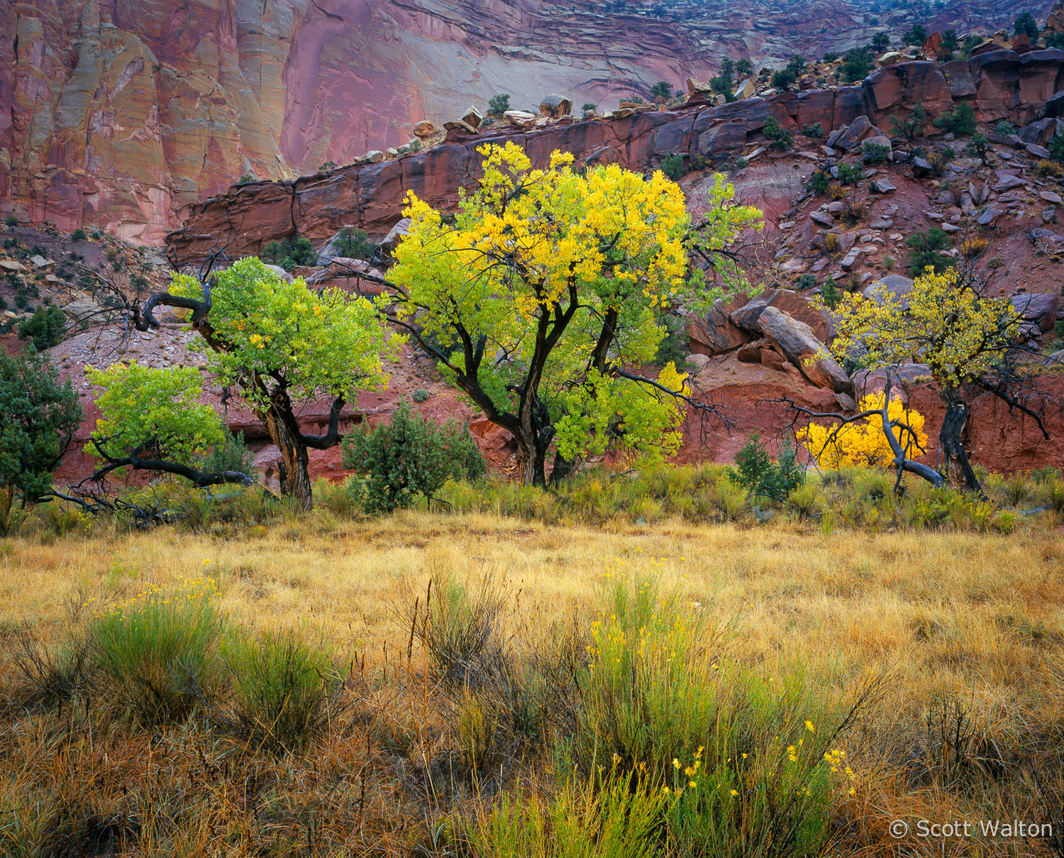 canyon-rain-fall-color-capitol-reef-national-park-utah.jpg