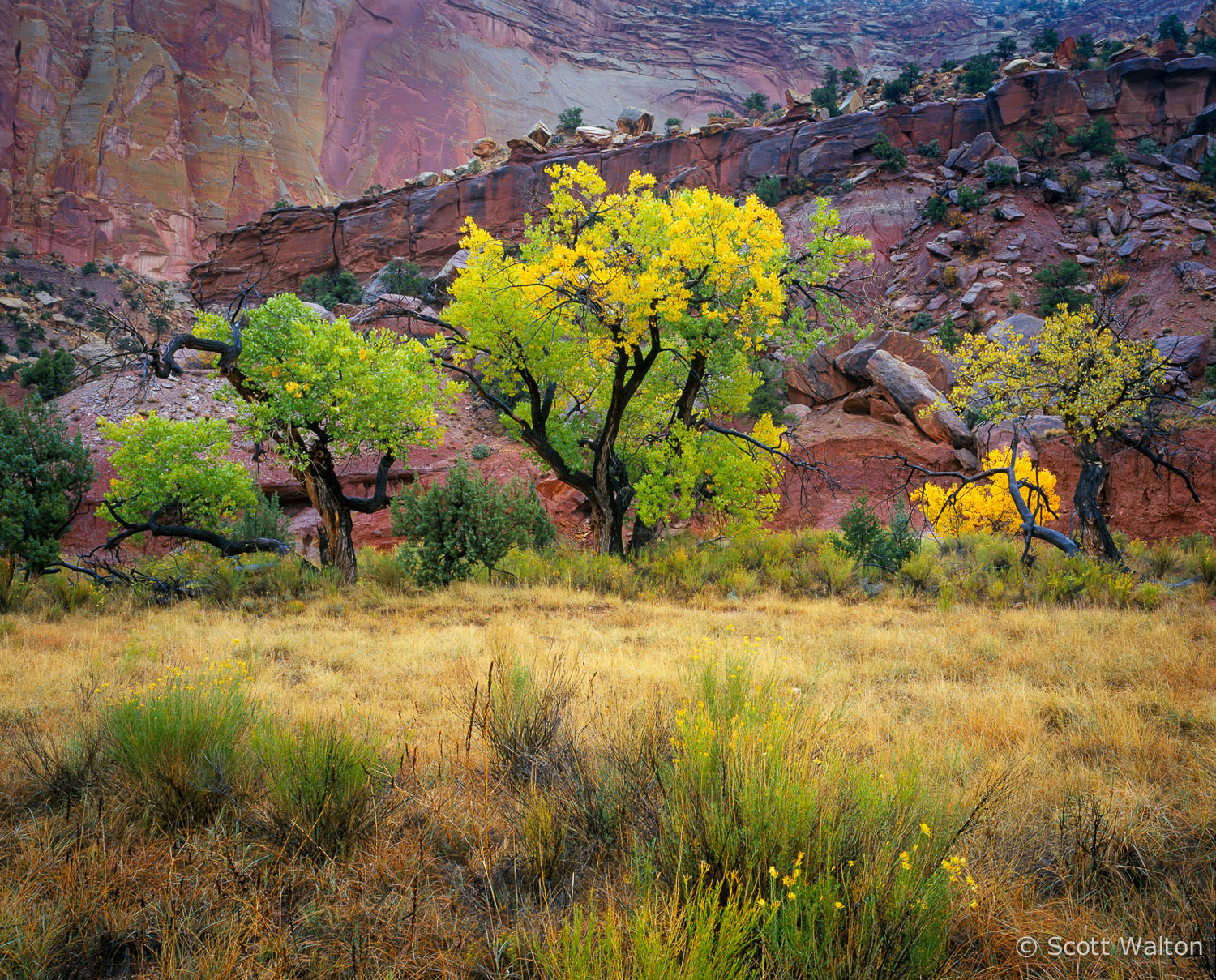 canyon-rain-fall-color-capitol-reef-national-park-utah.jpg