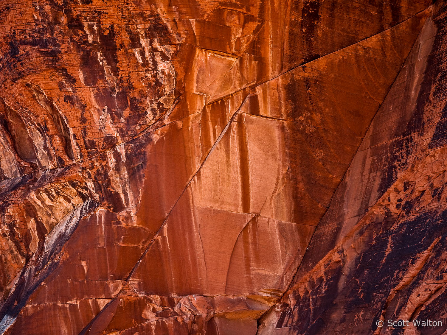 wall-abstract-color-valley-of-fire-state-park-nevada.jpg