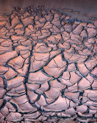 Cracked Mud Glowing PariaCyn-J-curveCrackedMud.jpg