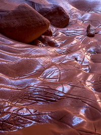 Dried Mud _MG_6335.jpg