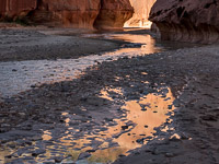 River Reflections _MG_6471.jpg