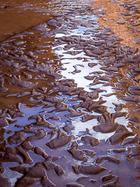Mud Patterns _MG_6480.jpg