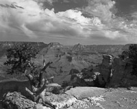 Yaki Point, South Rim yaki-point-grand-canyon-national-park-arizona.jpg