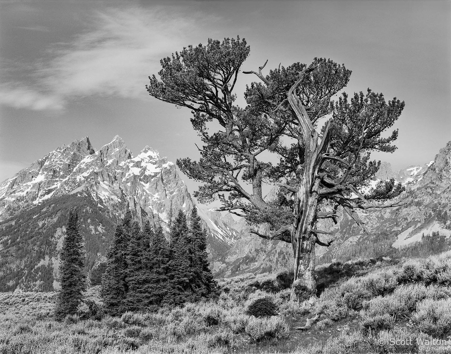 Grand-Tetons-Old-Patriarch-BW.jpg