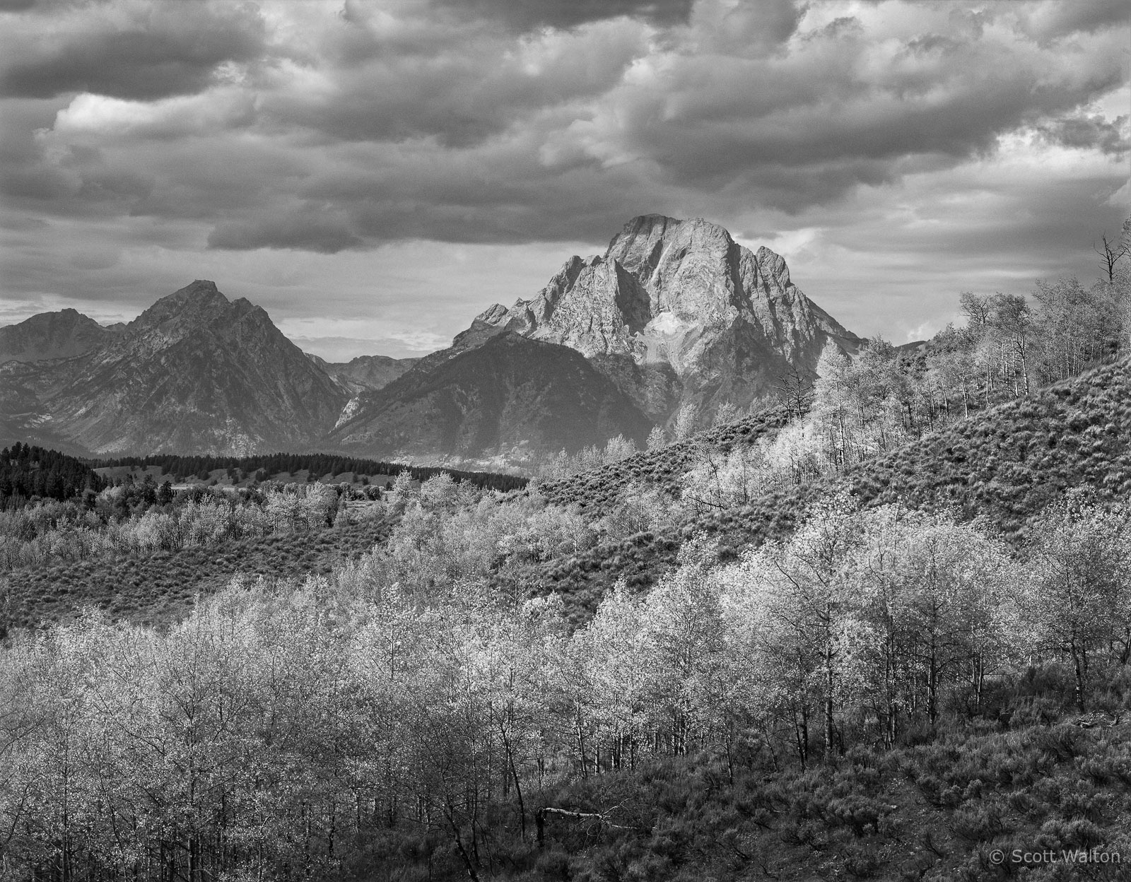 TetonsMoranFallHillside-homescanBW.-v4.jpg