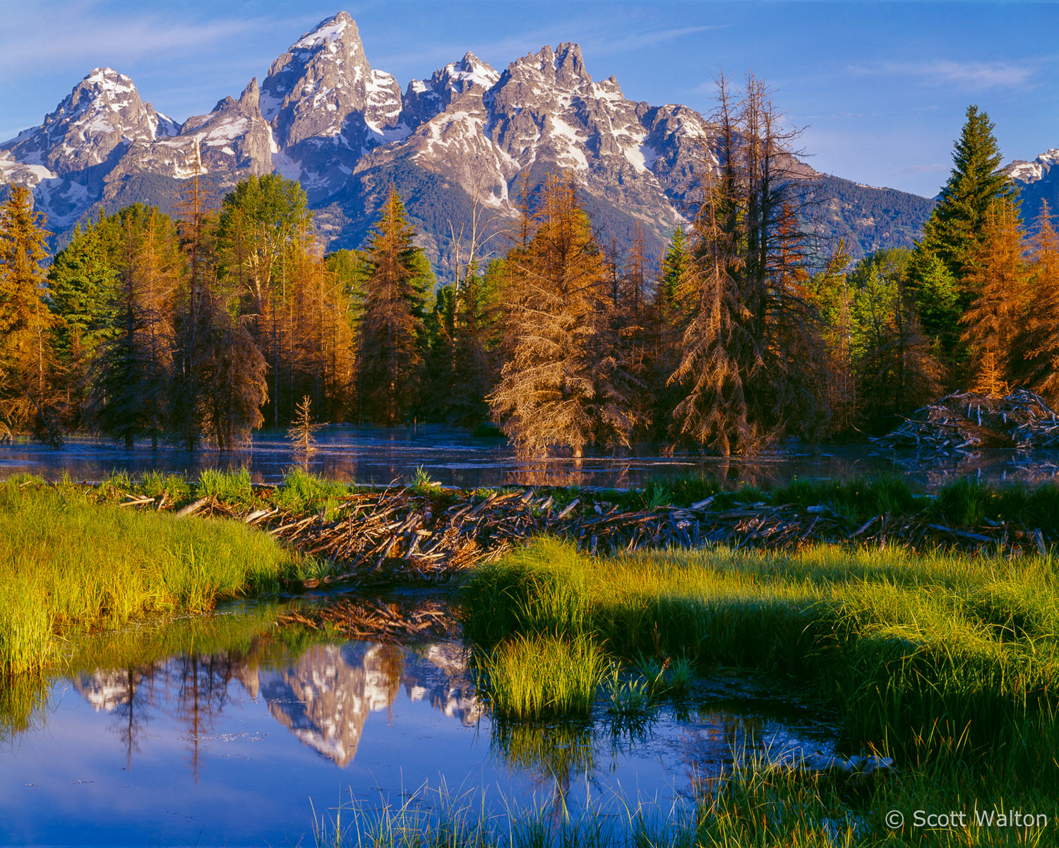 schwabacher-landing-sunrise-grand-teton-national-park-wyoming.jpg