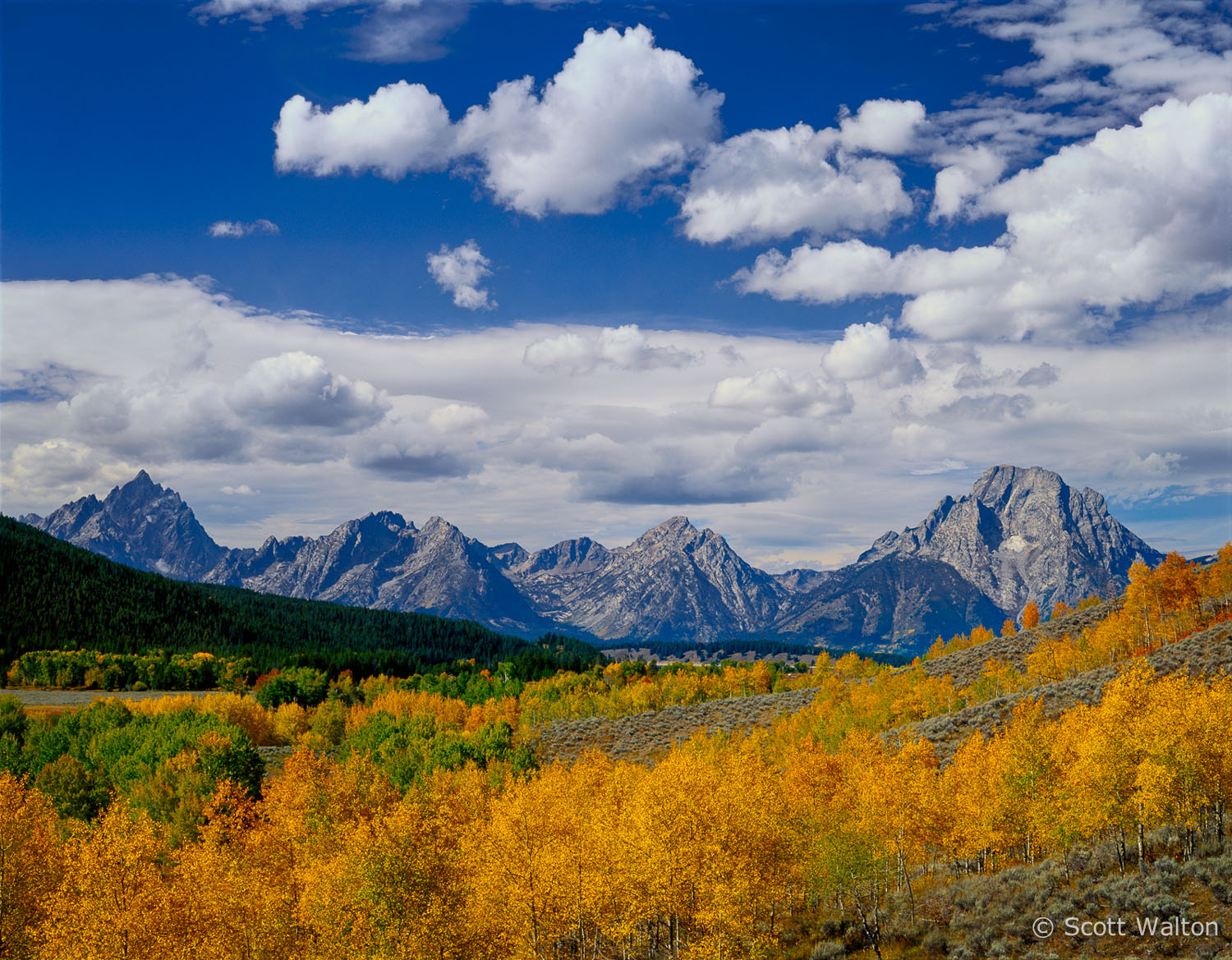 teton-range-fall-color-grand-teton-national-park-wyoming.jpg