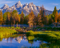 schwabacher-landing-sunrise-grand-teton-national-park-wyoming.jpg