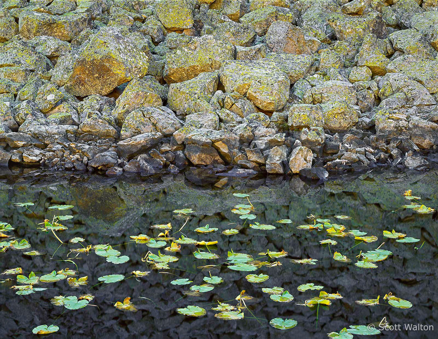 Isa-Lake-Lily-Pads-Boulders-Yellowstone-national-park-wyoming.jpg