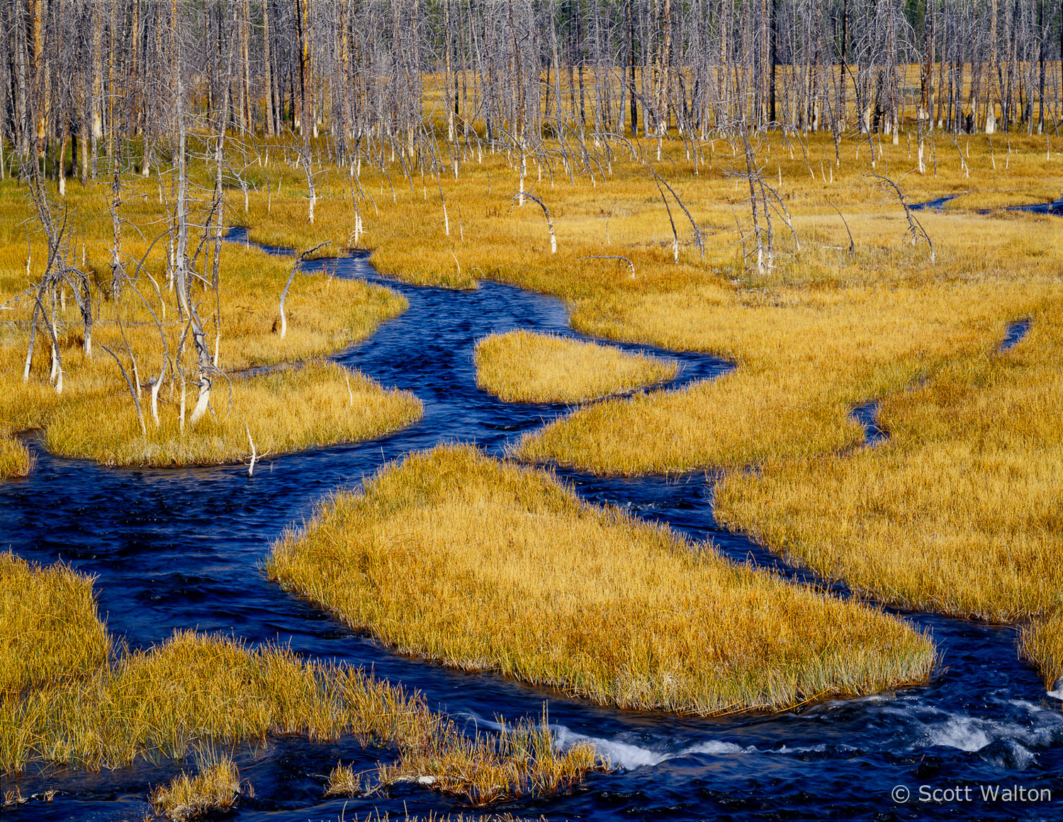 blue-braided-stream-yellowstone-national-park-wyoming.jpg