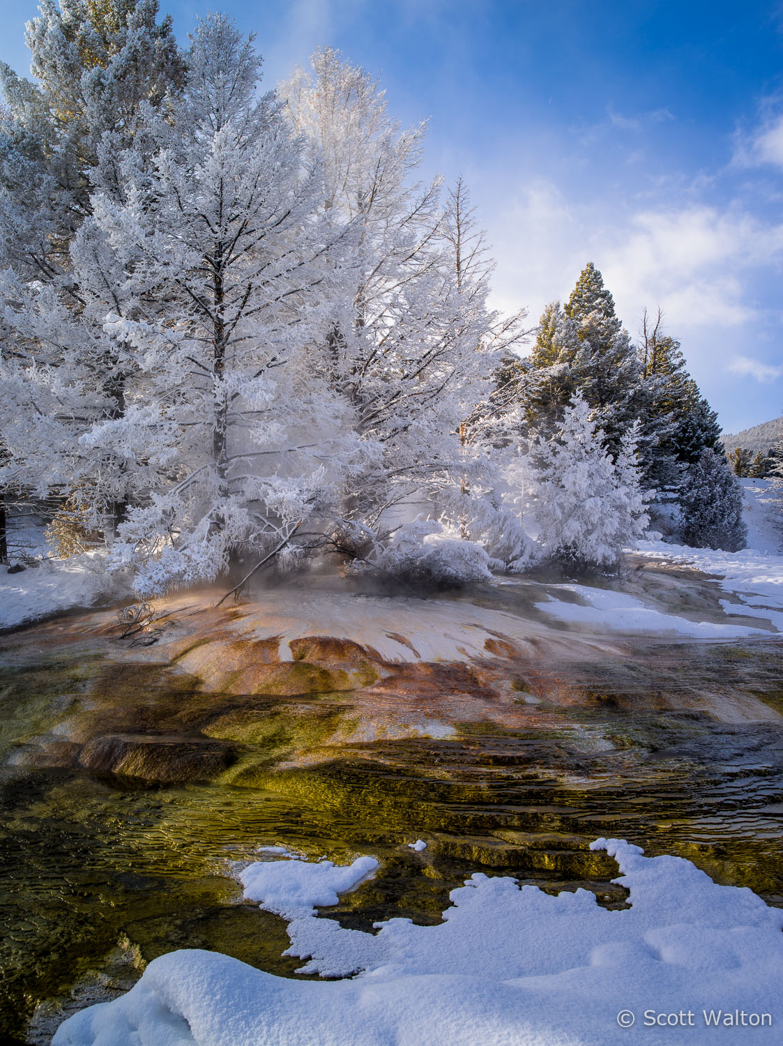 fresh-snow-canary-spring-yellowstone-national-park-wyoming.jpg